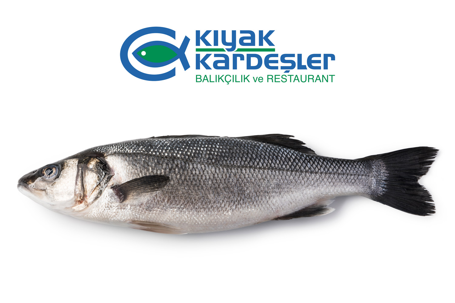 https://www.kiyaksuurunleri.com/image/1712482408-970458274.jpeg