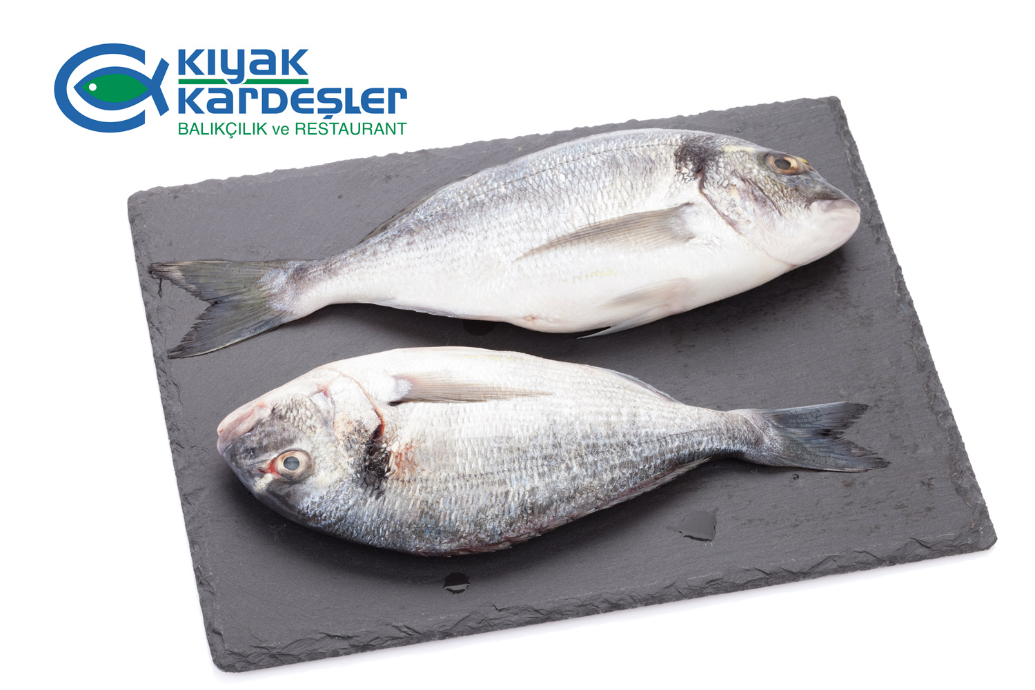 https://www.kiyaksuurunleri.com/image/1712483783-1837020001.jpeg